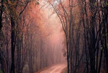 欧洲足球国家联赛战局逐渐明朗