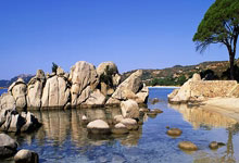 巴西运动员表现出色，斩获个人好成绩——激情与汗水铸就新辉煌