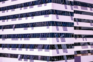 米兰足球官网-体育新闻中心建设体育数字内容版权保护体系，体育数据新闻