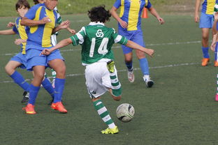 米兰体育在线下载-体育纪录片内容更加丰富，体育纪录片主题  第1张